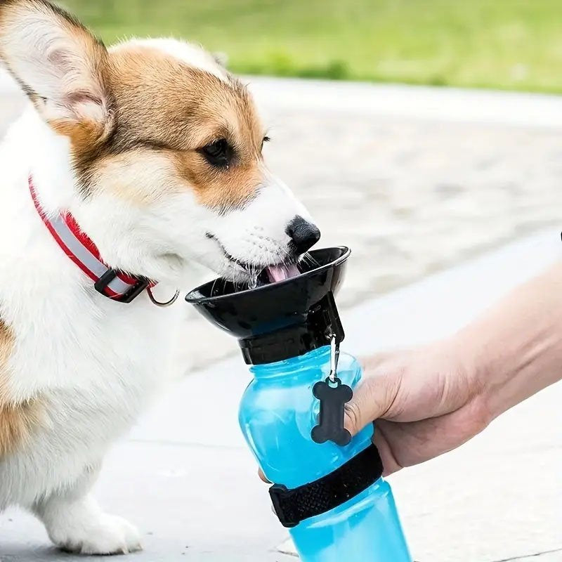 🐾💧 AquaPaws™